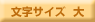 �����T�C�Y ��